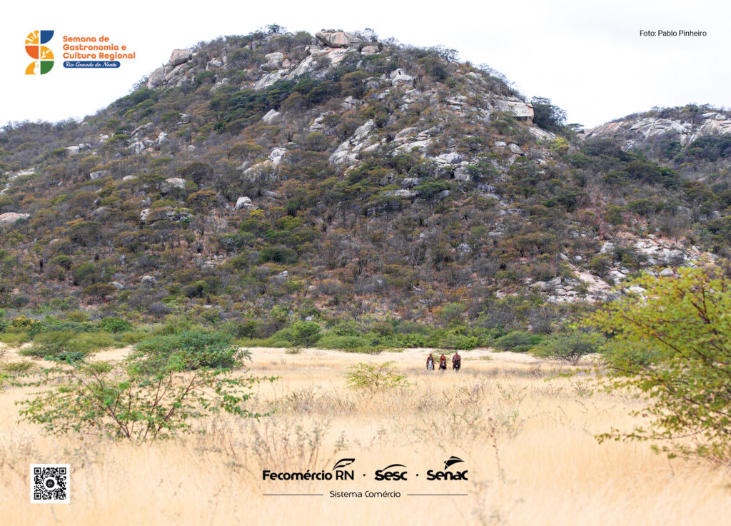 FOTOS_SEMANA-GASTRONOMIA_4-1024x737
